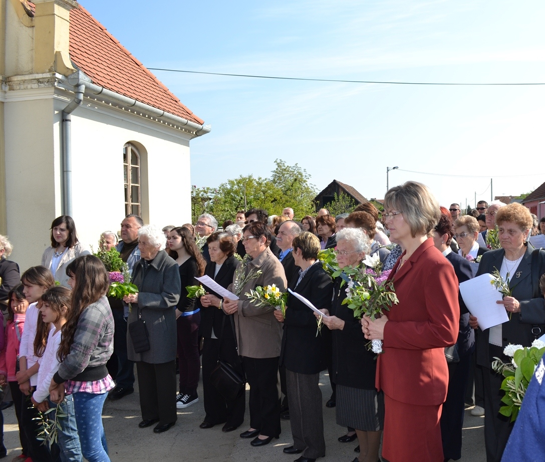 Markovac - pjevači 2014